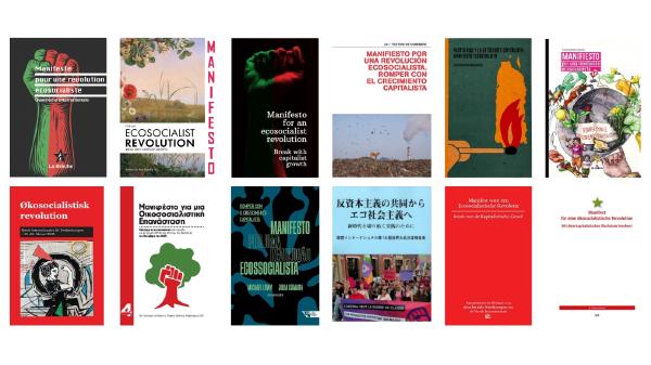 Hoofdlijnen van een ecosocialistisch programma